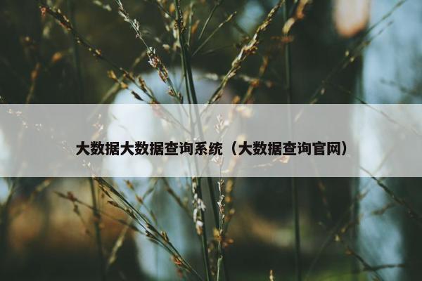 大数据大数据查询系统（大数据查询官网）