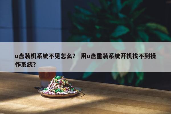 u盘装机系统不见怎么？ 用u盘重装系统开机找不到操作系统？