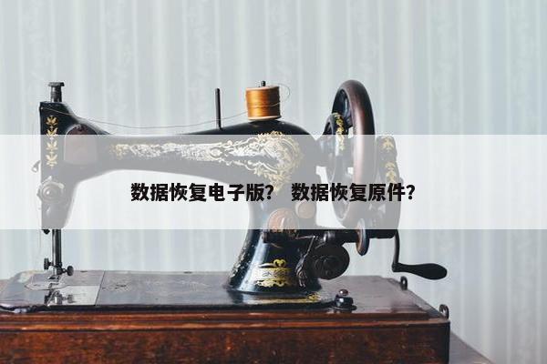 数据恢复电子版？ 数据恢复原件？