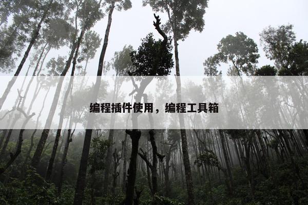 编程插件使用，编程工具箱