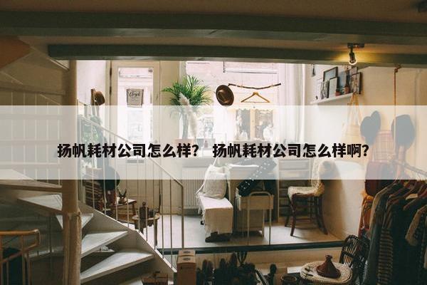 扬帆耗材公司怎么样？ 扬帆耗材公司怎么样啊？