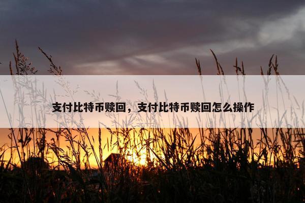 支付比特币赎回，支付比特币赎回怎么操作
