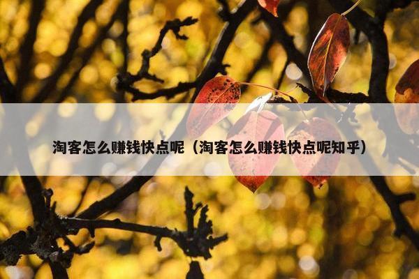 淘客怎么赚钱快点呢（淘客怎么赚钱快点呢知乎）