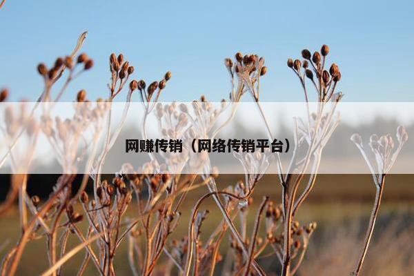 网赚传销（网络传销平台）