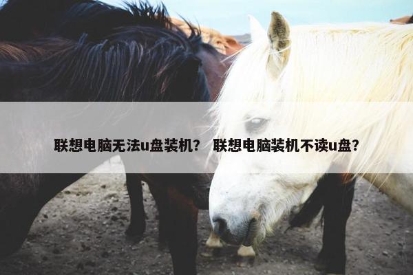 联想电脑无法u盘装机？ 联想电脑装机不读u盘？