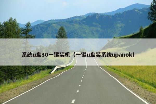 系统u盘30一键装机（一键u盘装系统upanok）