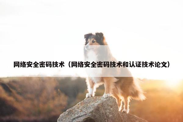 网络安全密码技术（网络安全密码技术和认证技术论文）