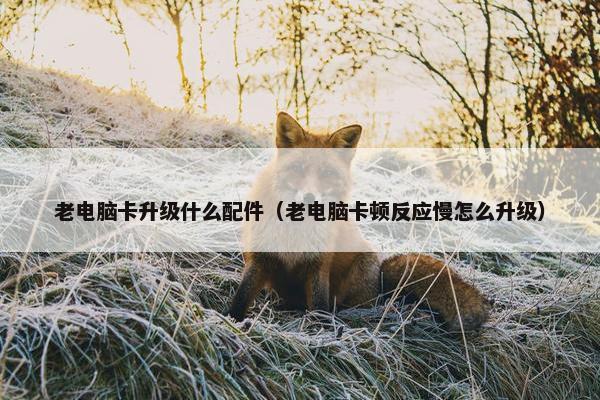 老电脑卡升级什么配件（老电脑卡顿反应慢怎么升级）