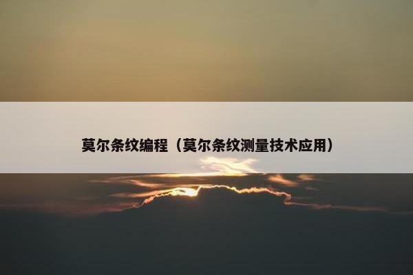 莫尔条纹编程（莫尔条纹测量技术应用）