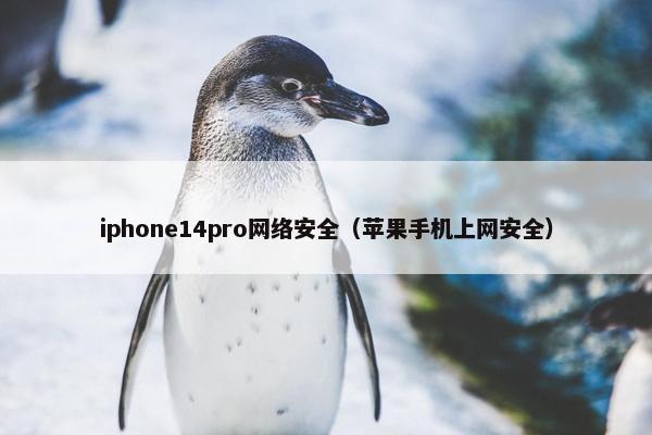 iphone14pro网络安全（苹果手机上网安全）