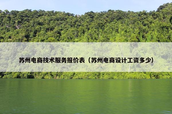 苏州电商技术服务报价表（苏州电商设计工资多少）