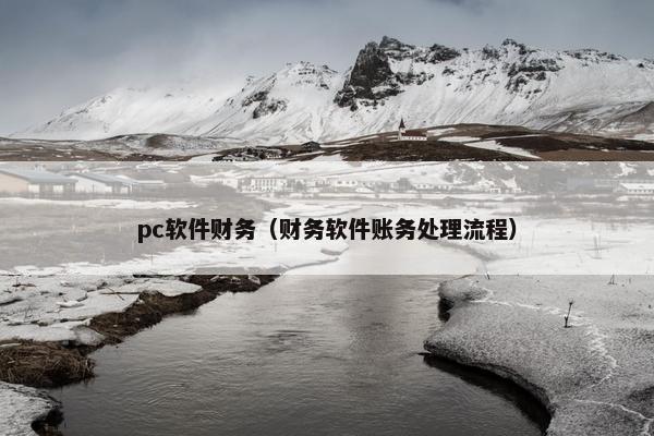 pc软件财务（财务软件账务处理流程）