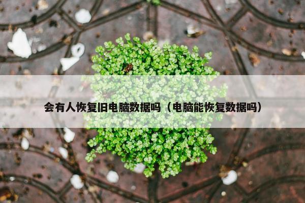 会有人恢复旧电脑数据吗（电脑能恢复数据吗）
