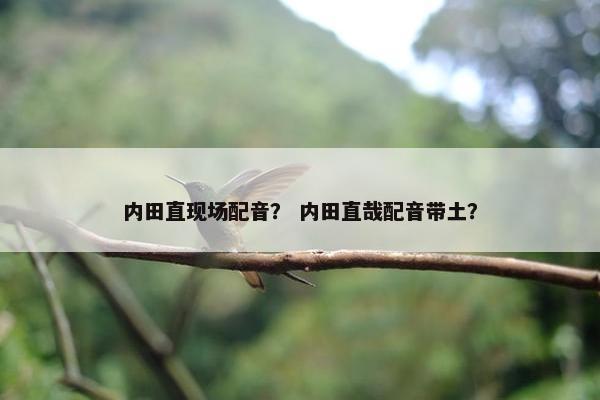 内田直现场配音？ 内田直哉配音带土？