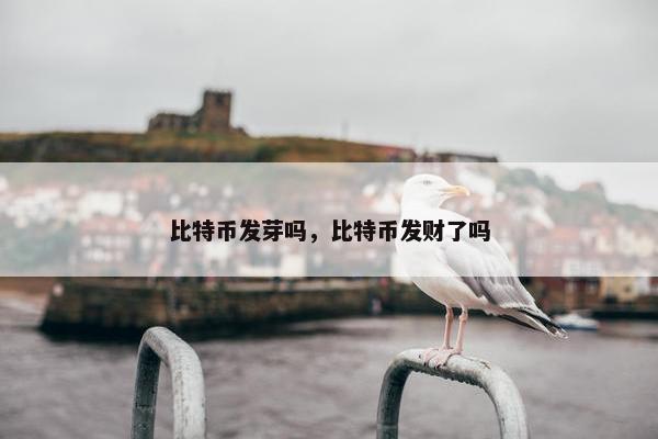 比特币发芽吗，比特币发财了吗