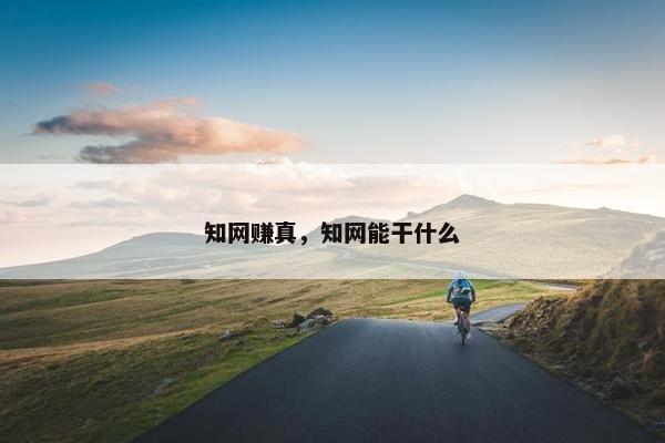 知网赚真，知网能干什么
