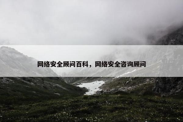 网络安全顾问百科，网络安全咨询顾问