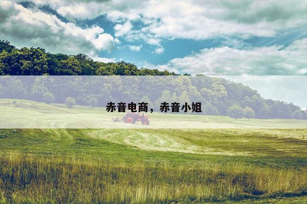 赤音电商，赤音小姐
