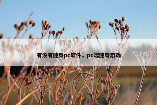 有没有健身pc软件，pc端健身游戏