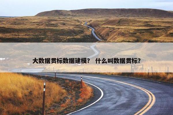 大数据贯标数据建模？ 什么叫数据贯标？