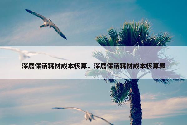 深度保洁耗材成本核算，深度保洁耗材成本核算表
