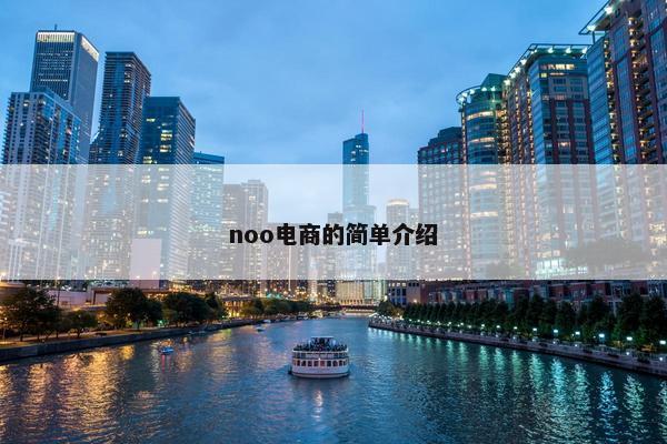 noo电商的简单介绍