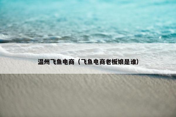 温州飞鱼电商（飞鱼电商老板娘是谁）