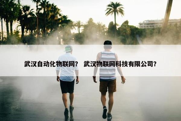 武汉自动化物联网？ 武汉物联网科技有限公司？