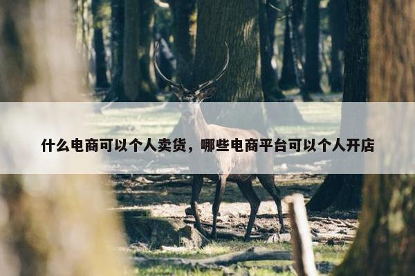 什么电商可以个人卖货，哪些电商平台可以个人开店