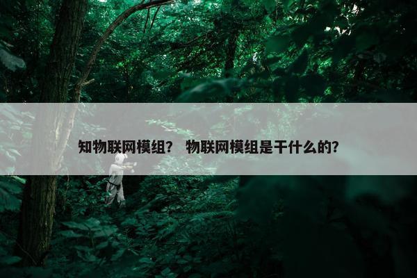 知物联网模组？ 物联网模组是干什么的？