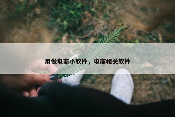 用做电商小软件，电商相关软件