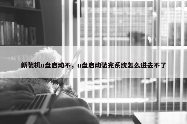 新装机u盘启动不，u盘启动装完系统怎么进去不了