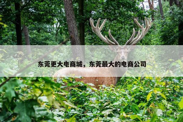东莞更大电商城，东莞最大的电商公司