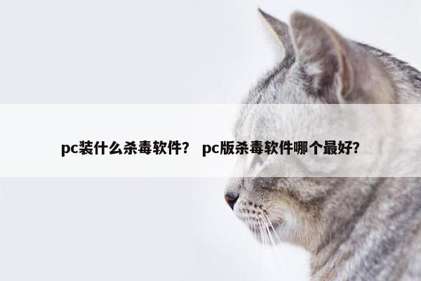 pc装什么杀毒软件？ pc版杀毒软件哪个最好？