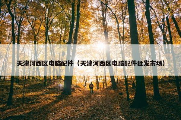 天津河西区电脑配件（天津河西区电脑配件批发市场）