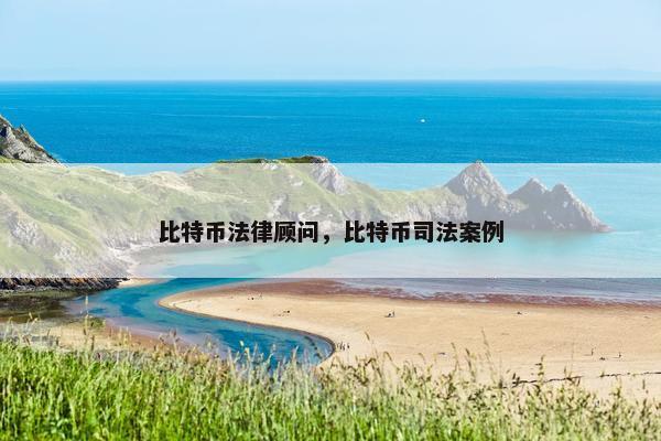 比特币法律顾问，比特币司法案例
