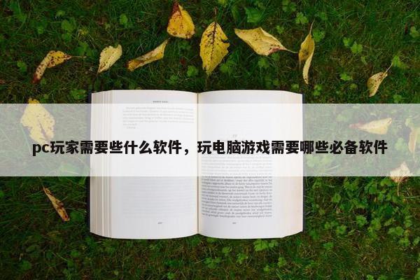 pc玩家需要些什么软件，玩电脑游戏需要哪些必备软件