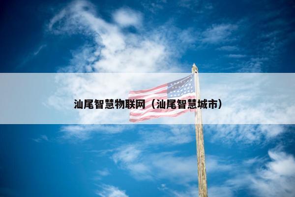 汕尾智慧物联网（汕尾智慧城市）
