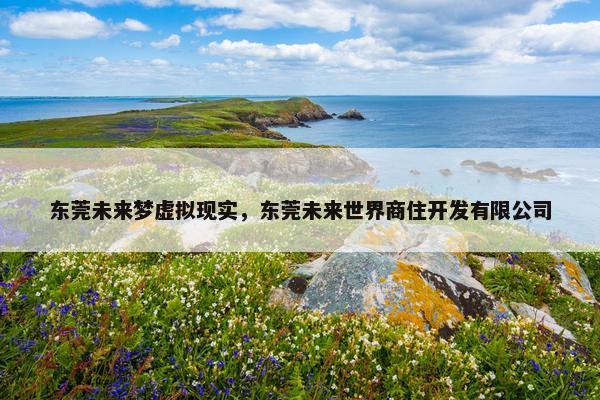 东莞未来梦虚拟现实，东莞未来世界商住开发有限公司