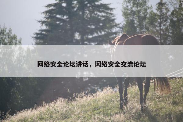 网络安全论坛讲话，网络安全交流论坛