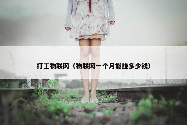 打工物联网（物联网一个月能赚多少钱）