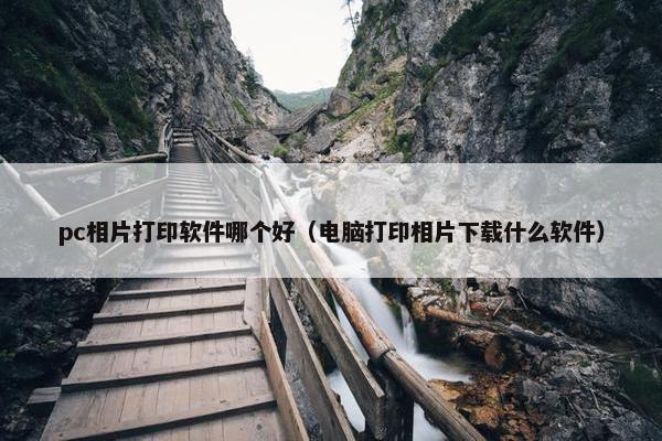 pc相片打印软件哪个好（电脑打印相片下载什么软件）