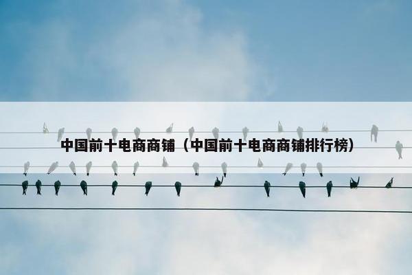 中国前十电商商铺（中国前十电商商铺排行榜）