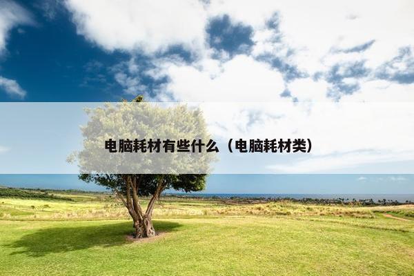 电脑耗材有些什么（电脑耗材类）