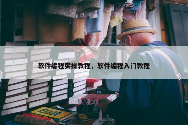软件编程实操教程，软件编程入门教程
