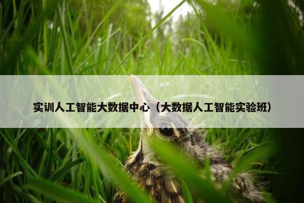 实训人工智能大数据中心（大数据人工智能实验班）