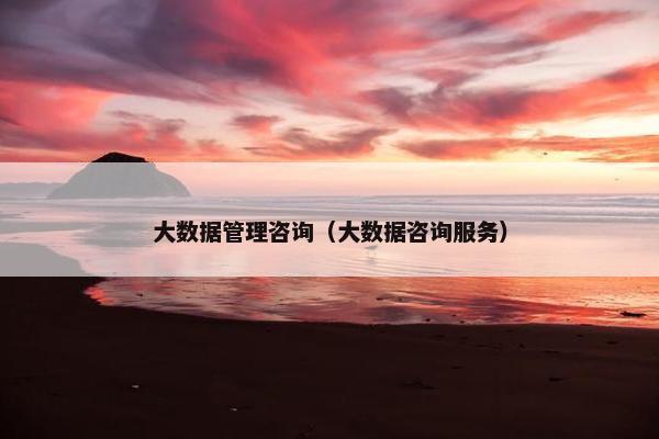 大数据管理咨询（大数据咨询服务）