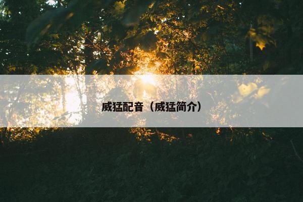 威猛配音（威猛简介）