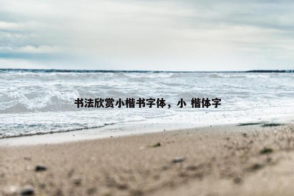 书法欣赏小楷书字体，小 楷体字