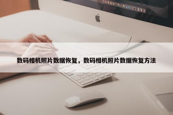 数码相机照片数据恢复，数码相机照片数据恢复方法